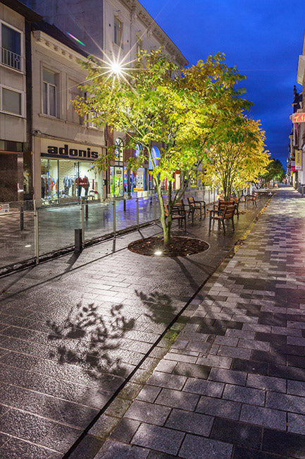 The Green Promenade