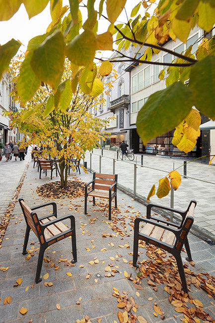 The Green Promenade