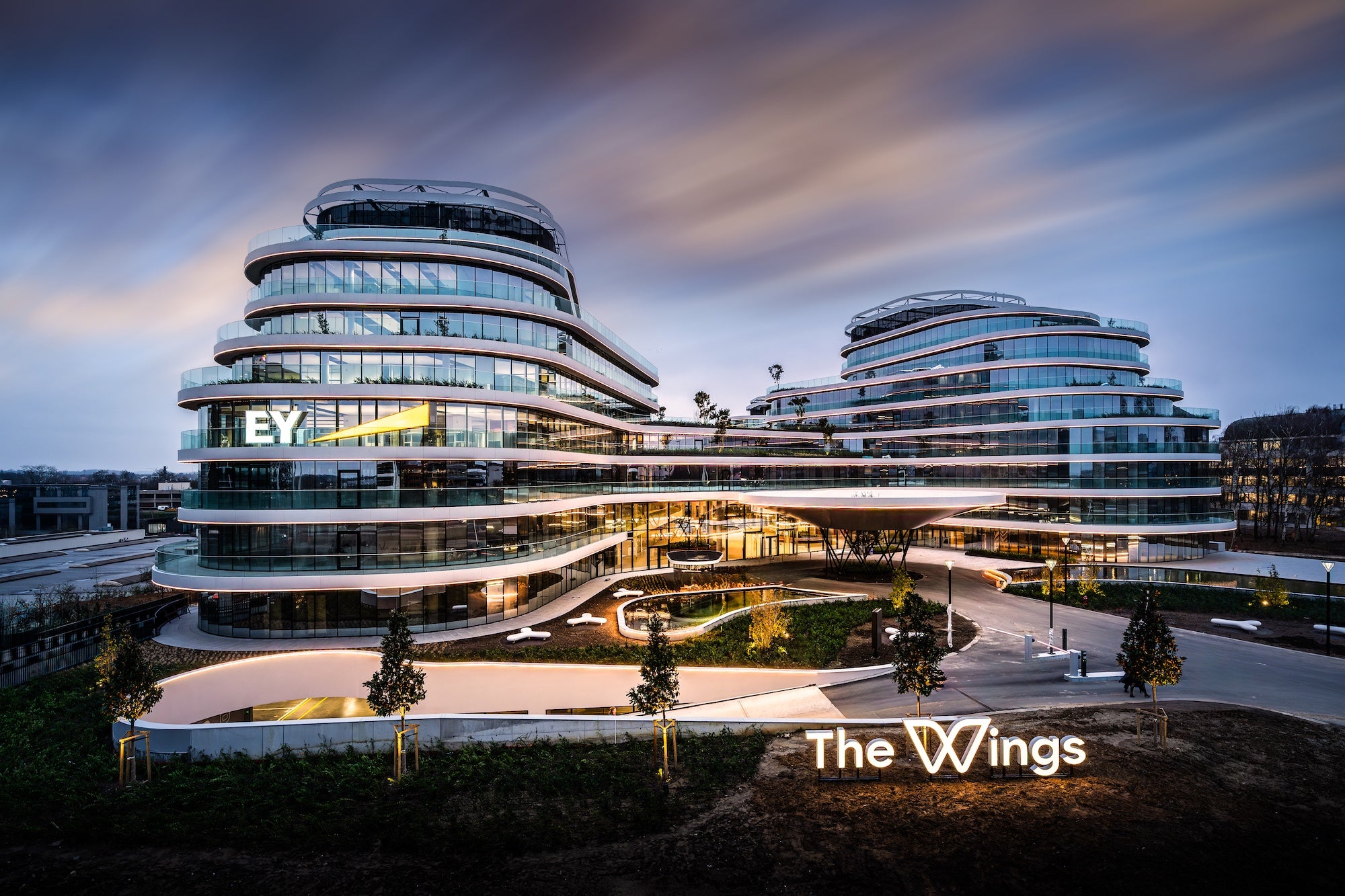 The Wings