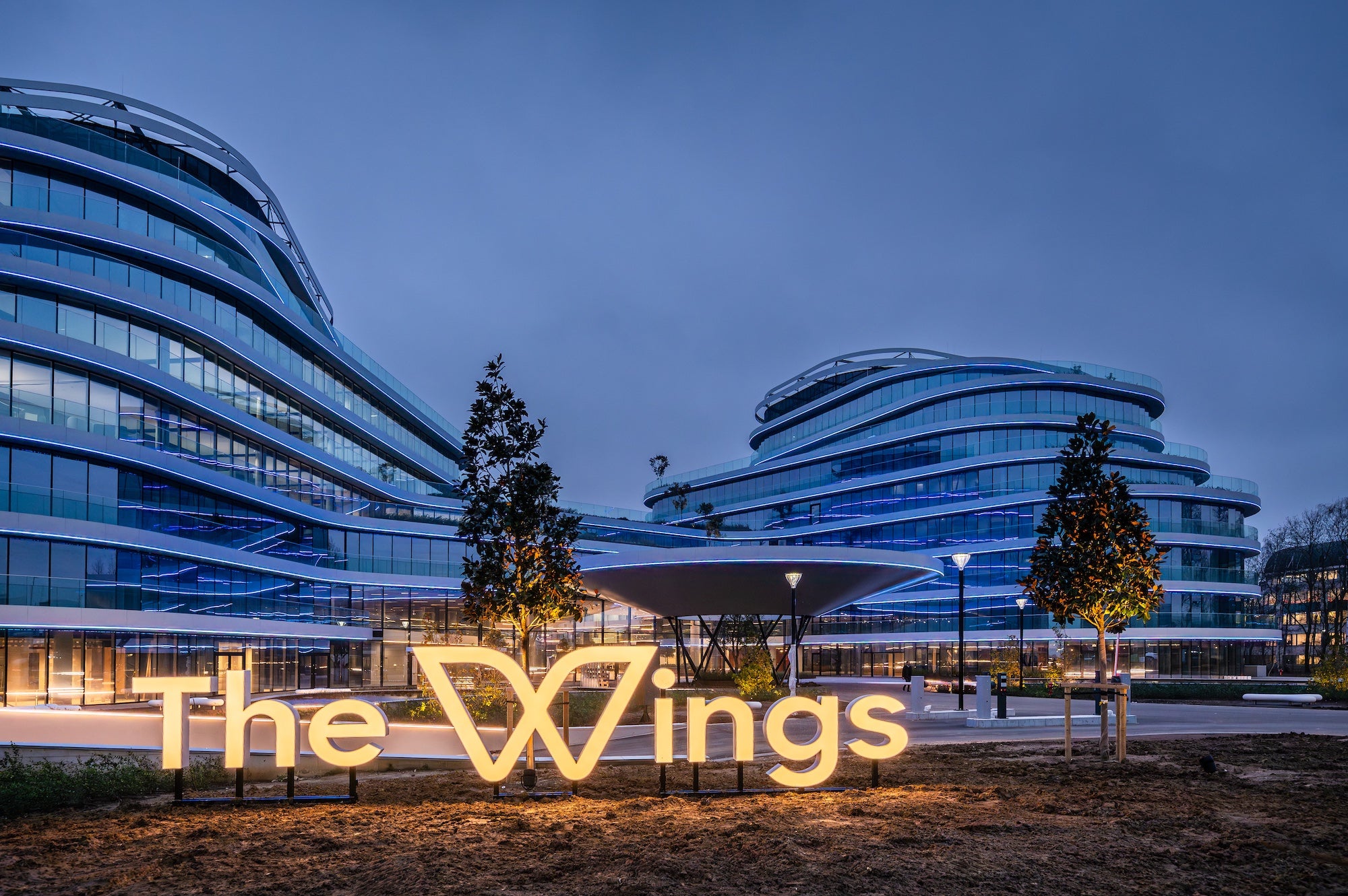 The Wings
