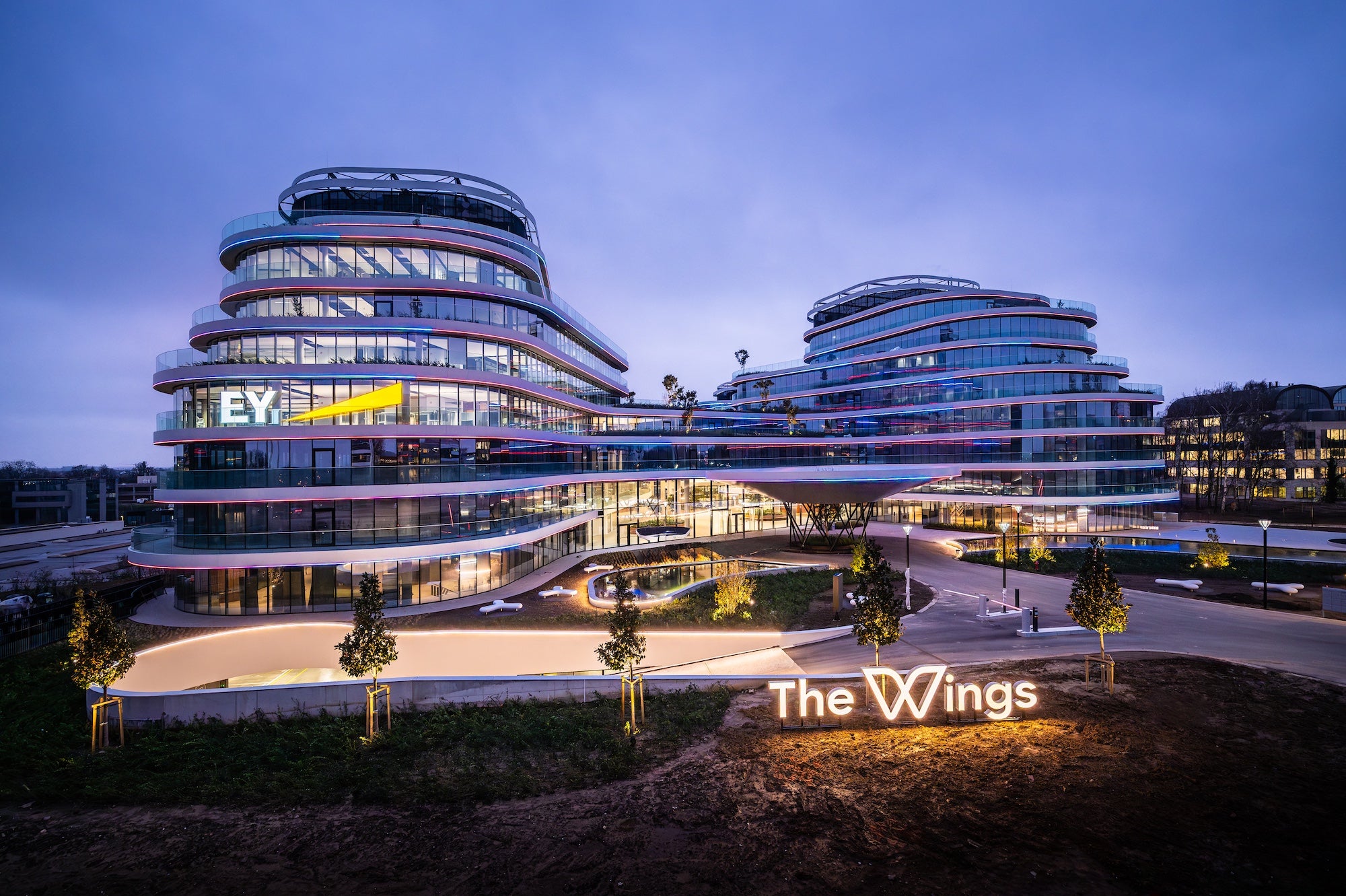 The Wings