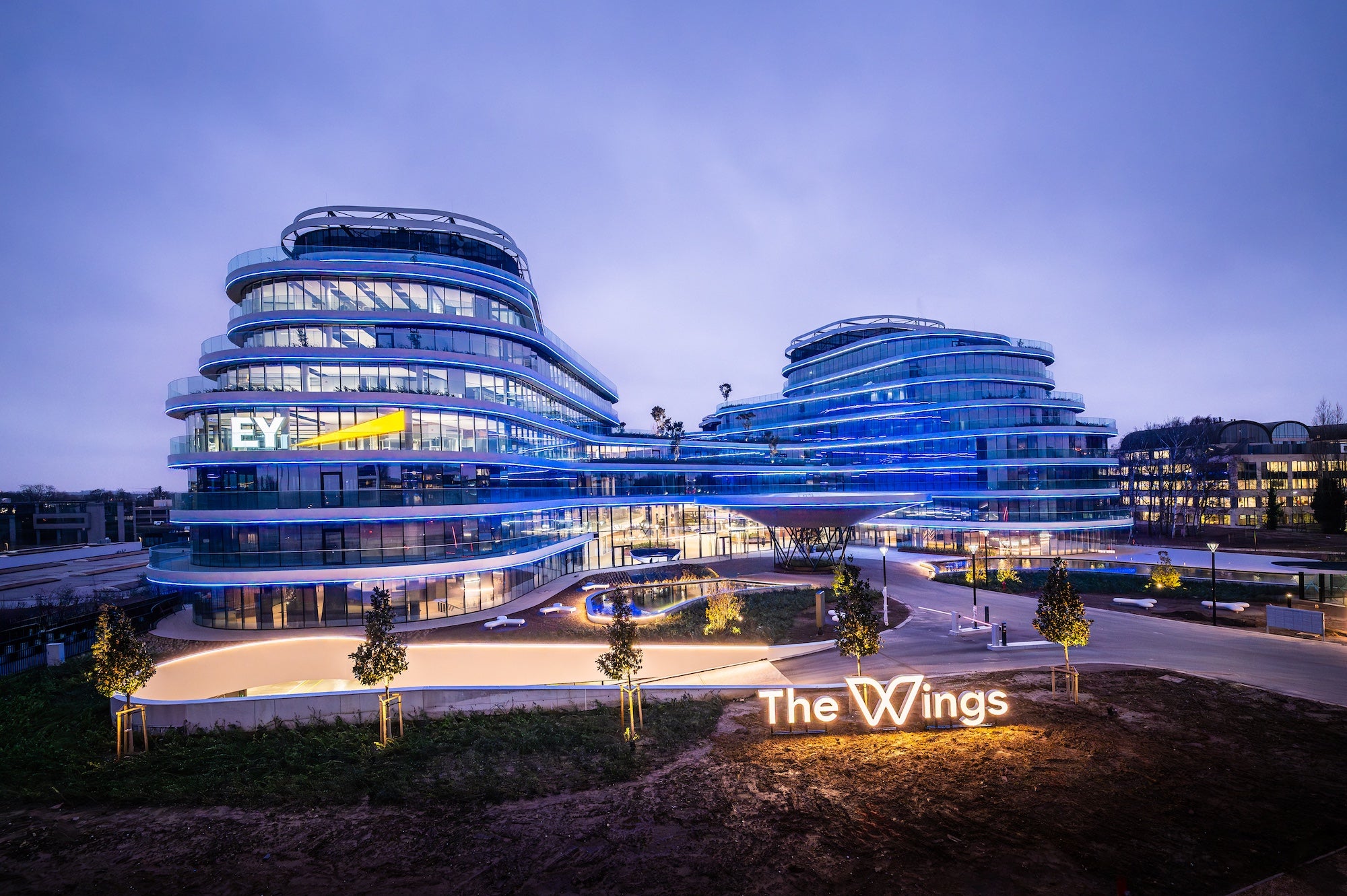 The Wings