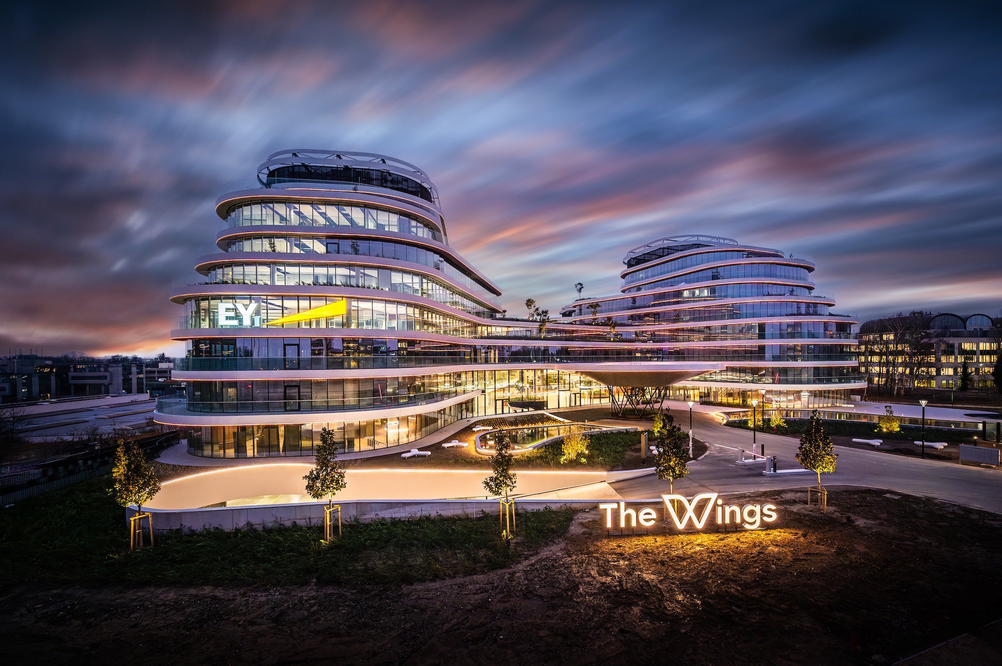 The Wings