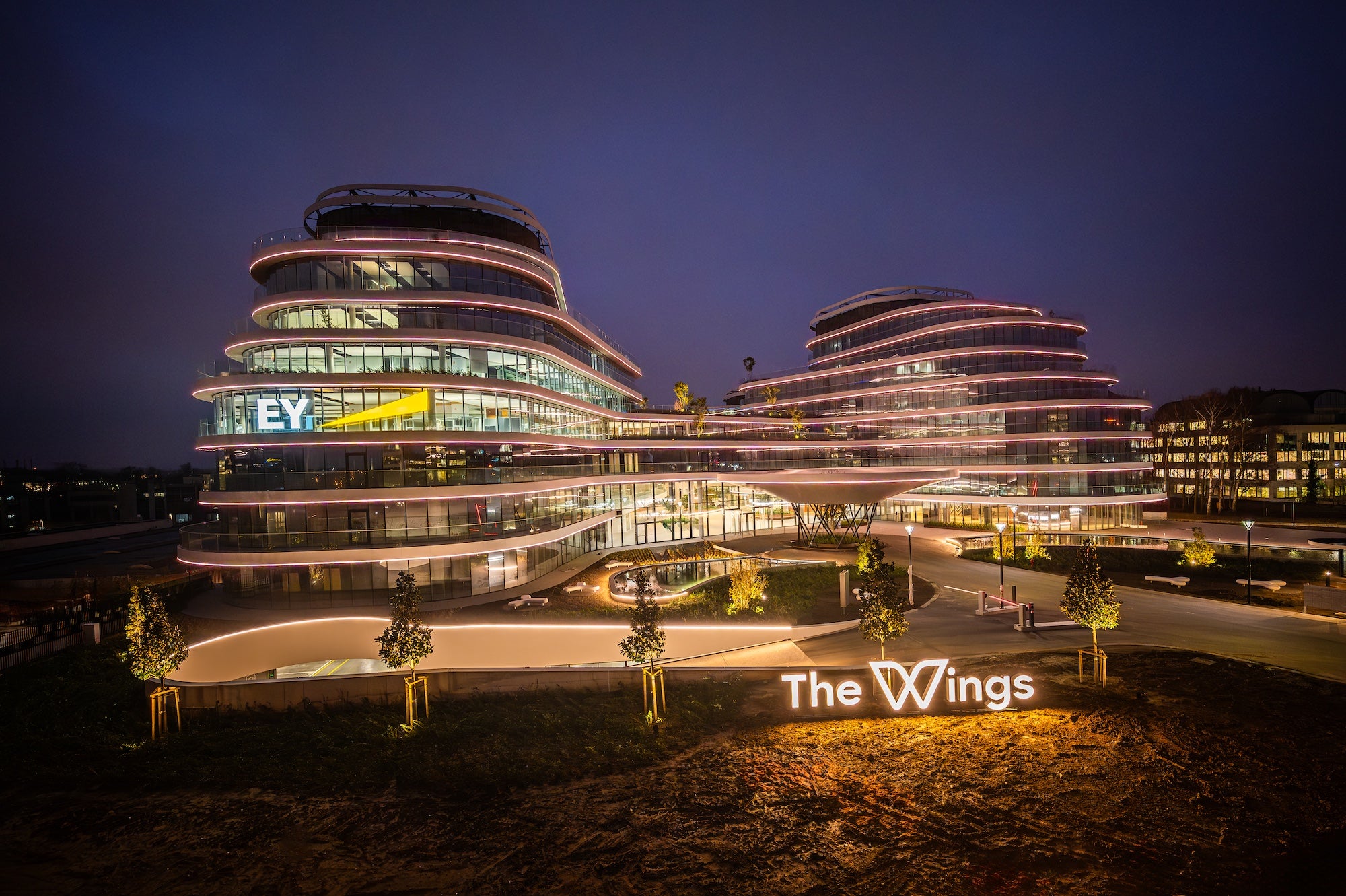 The Wings