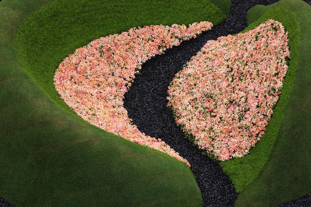The Floating Landscape