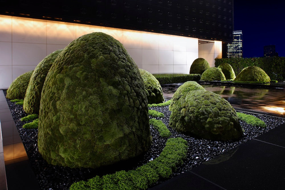 The Floating Landscape