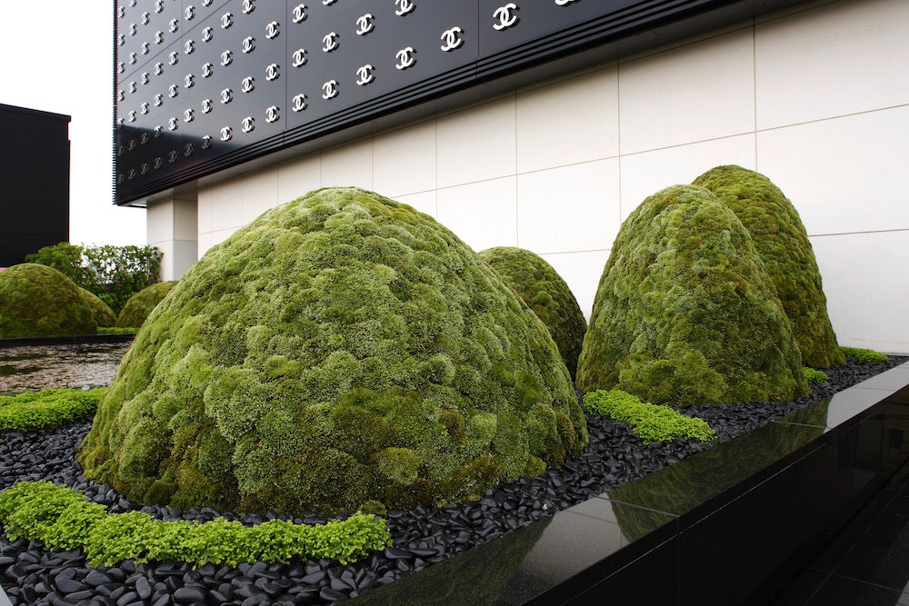The Floating Landscape