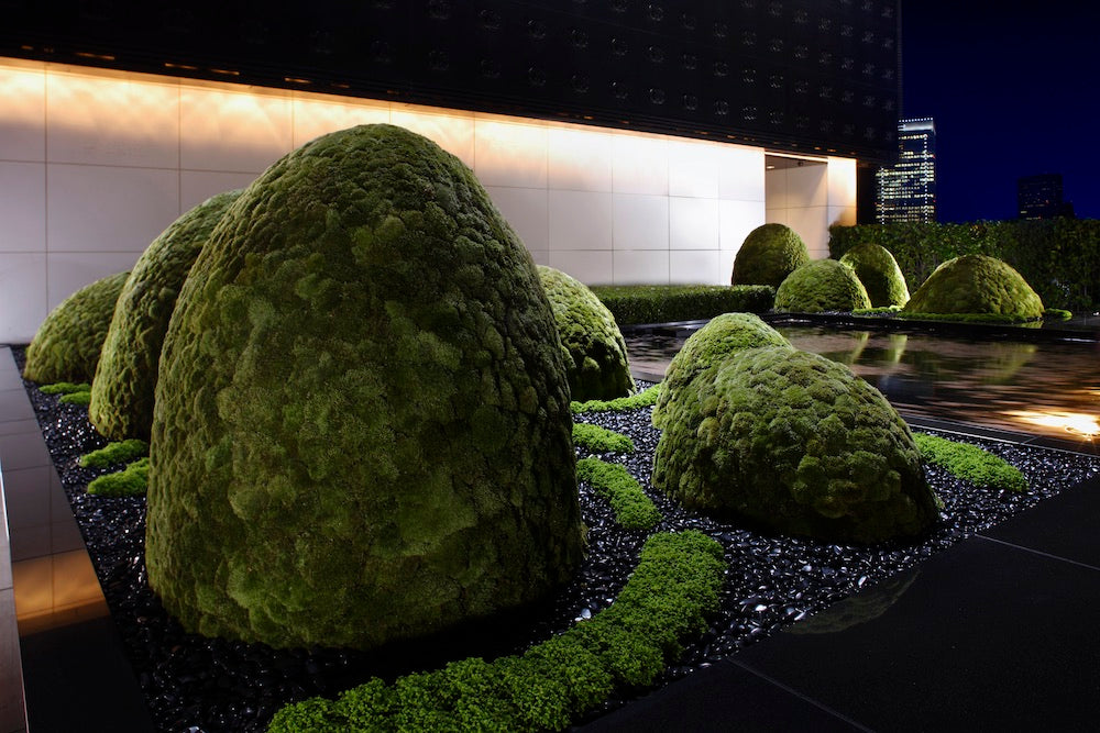 The Floating Landscape