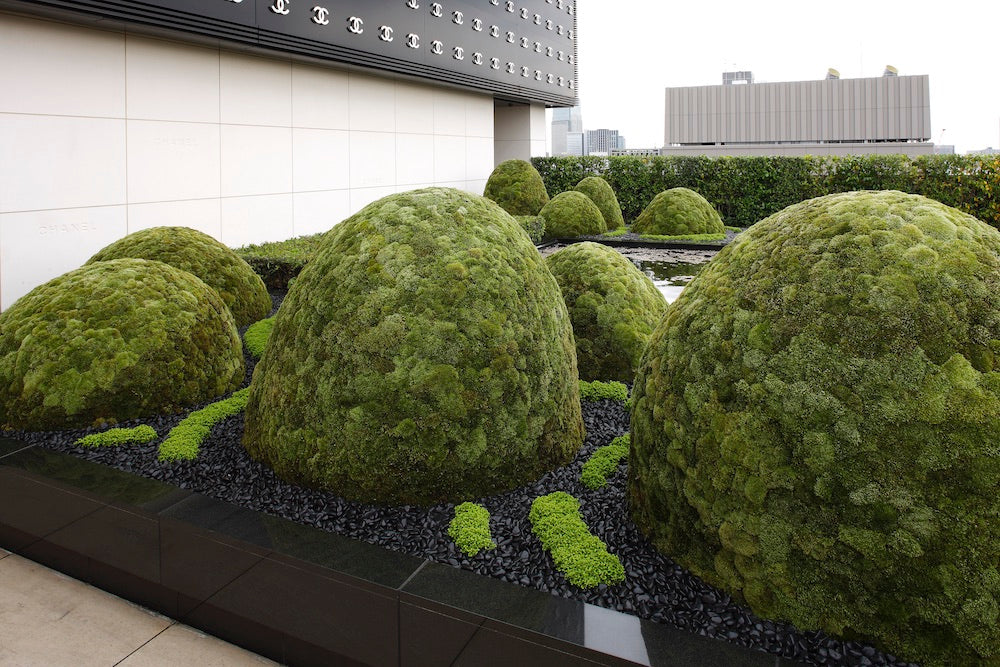 The Floating Landscape