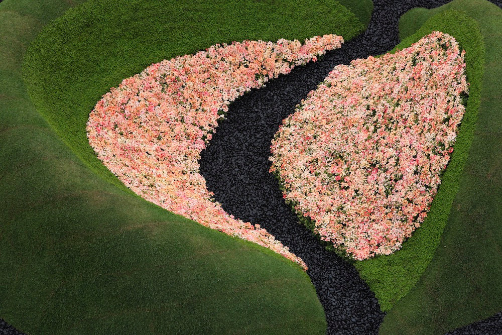 The Floating Landscape