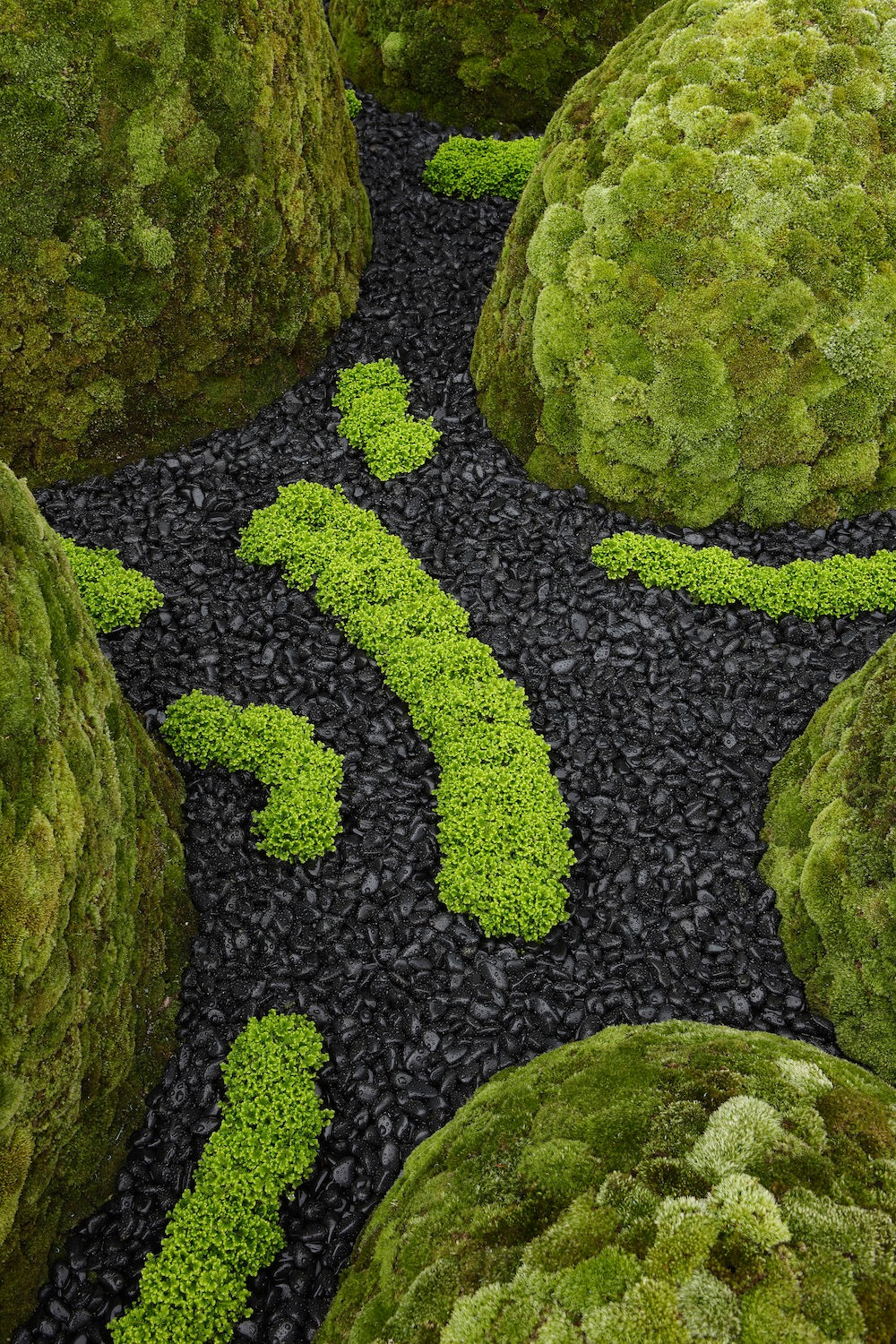 The Floating Landscape