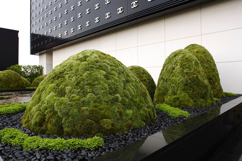 The Floating Landscape