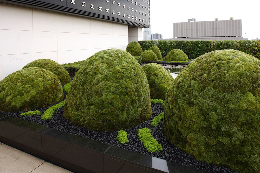 The Floating Landscape