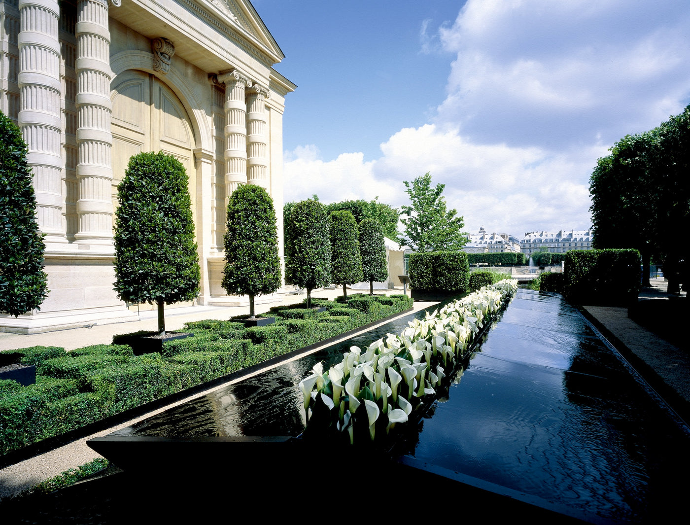 The Parisian Reflection