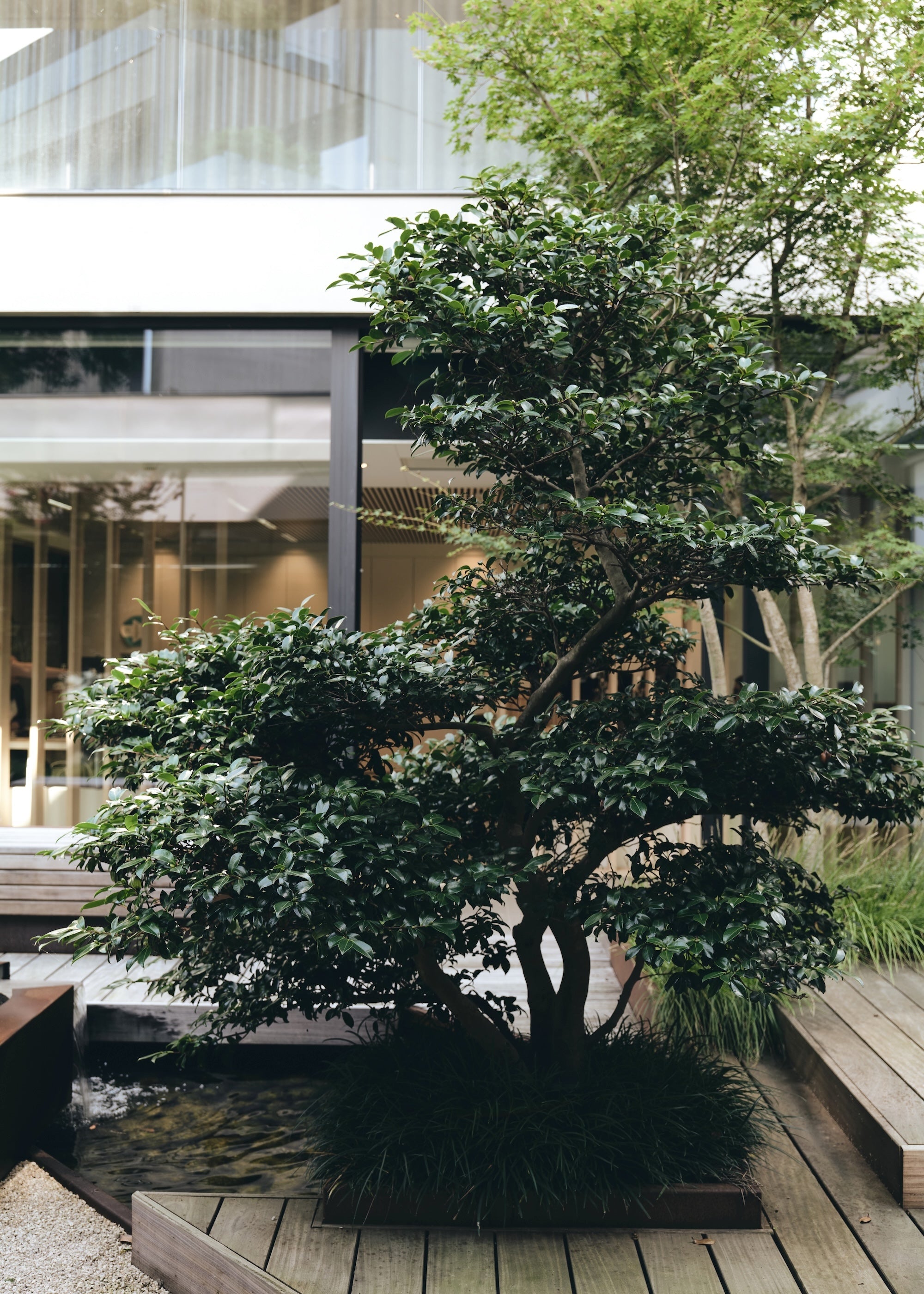 The Elemental Courtyard
