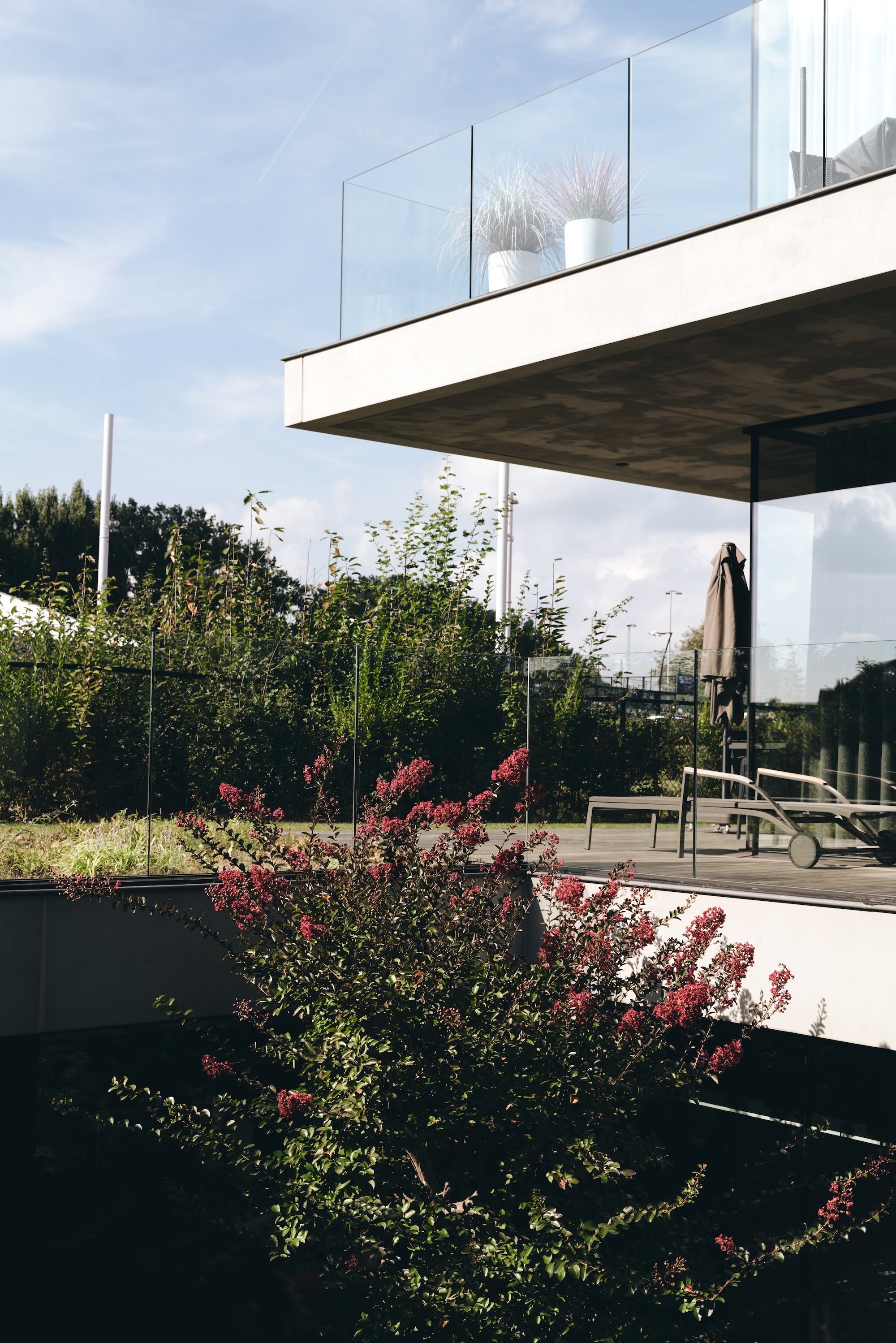 The Elemental Courtyard
