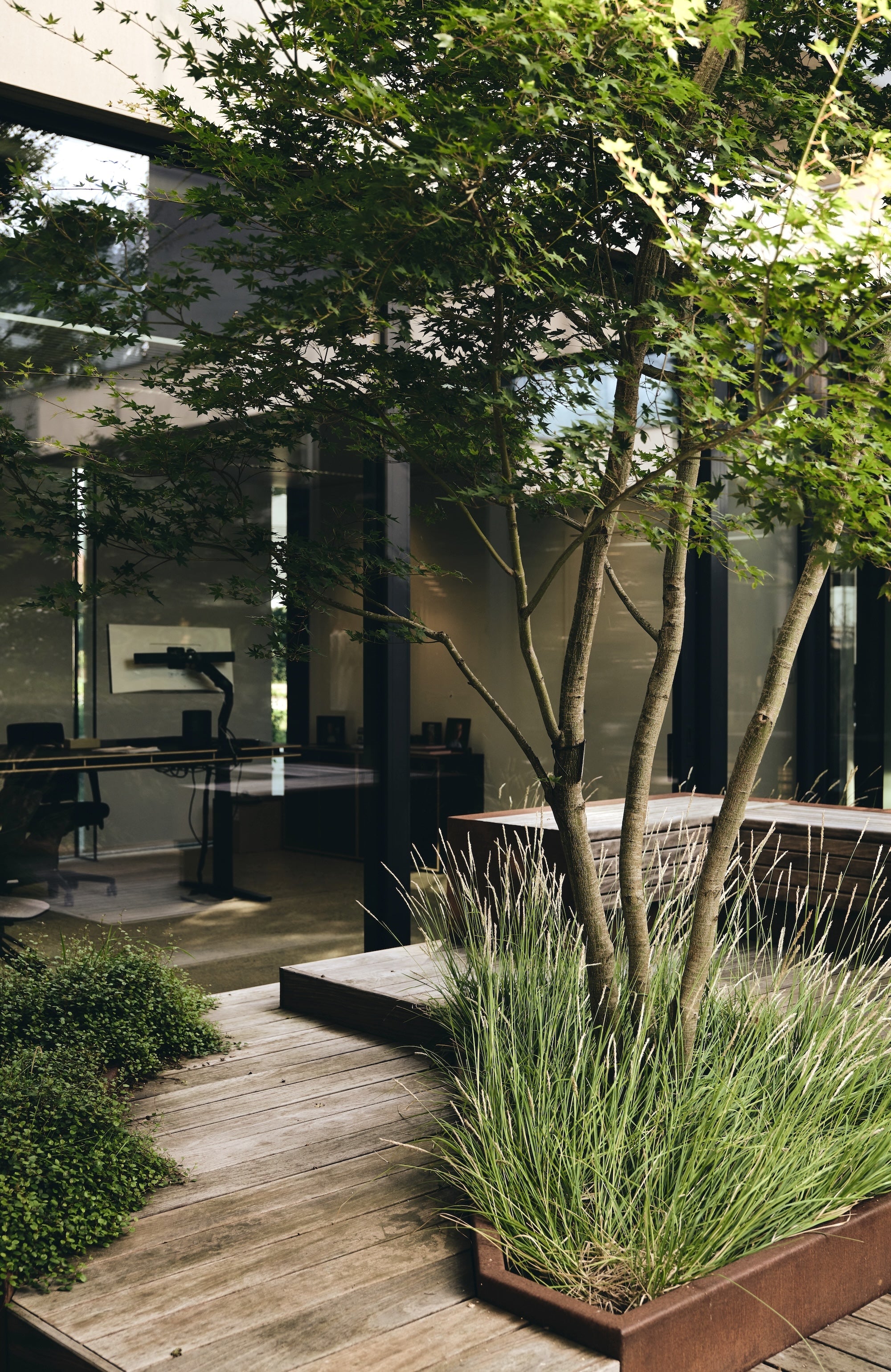 The Elemental Courtyard