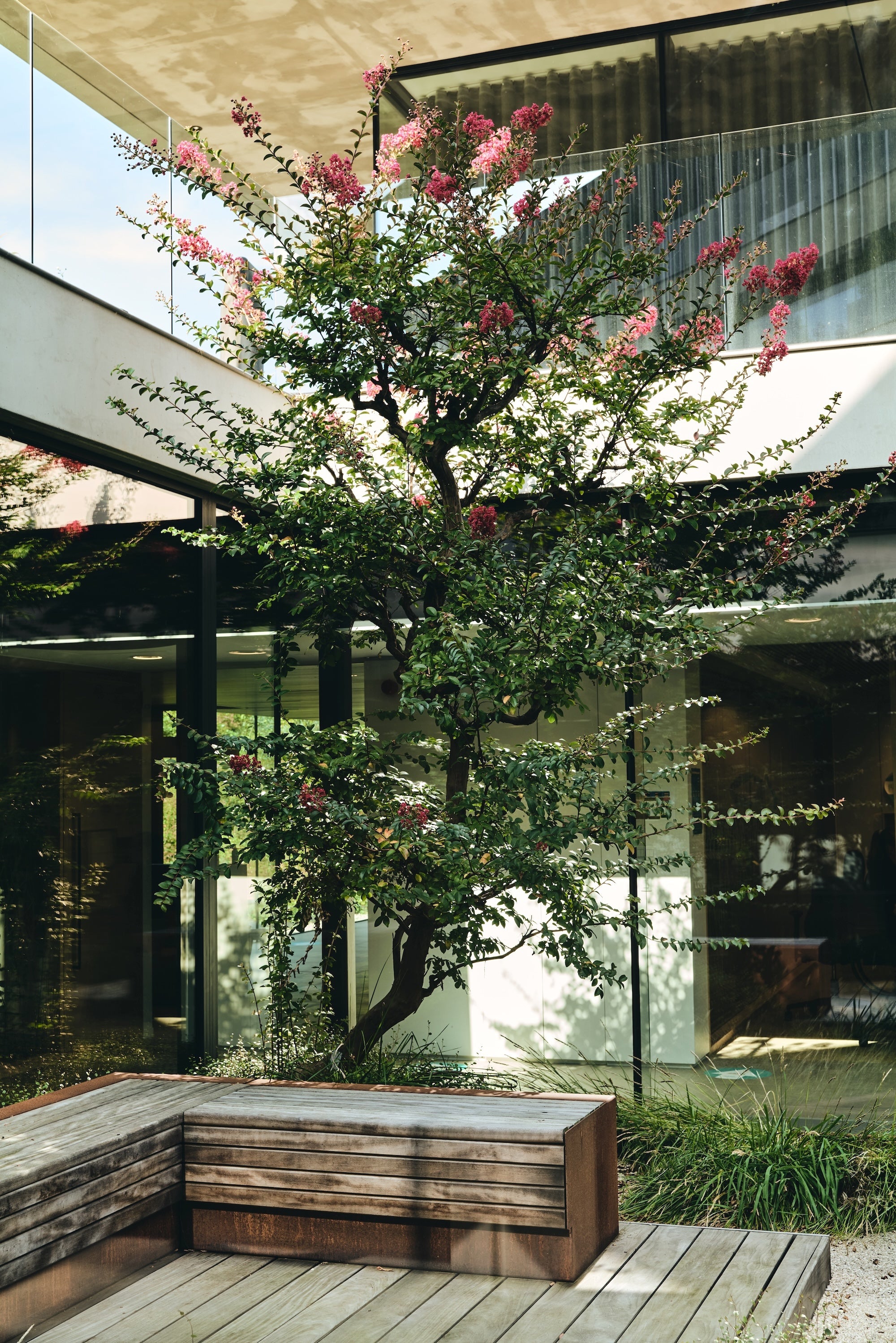 The Elemental Courtyard