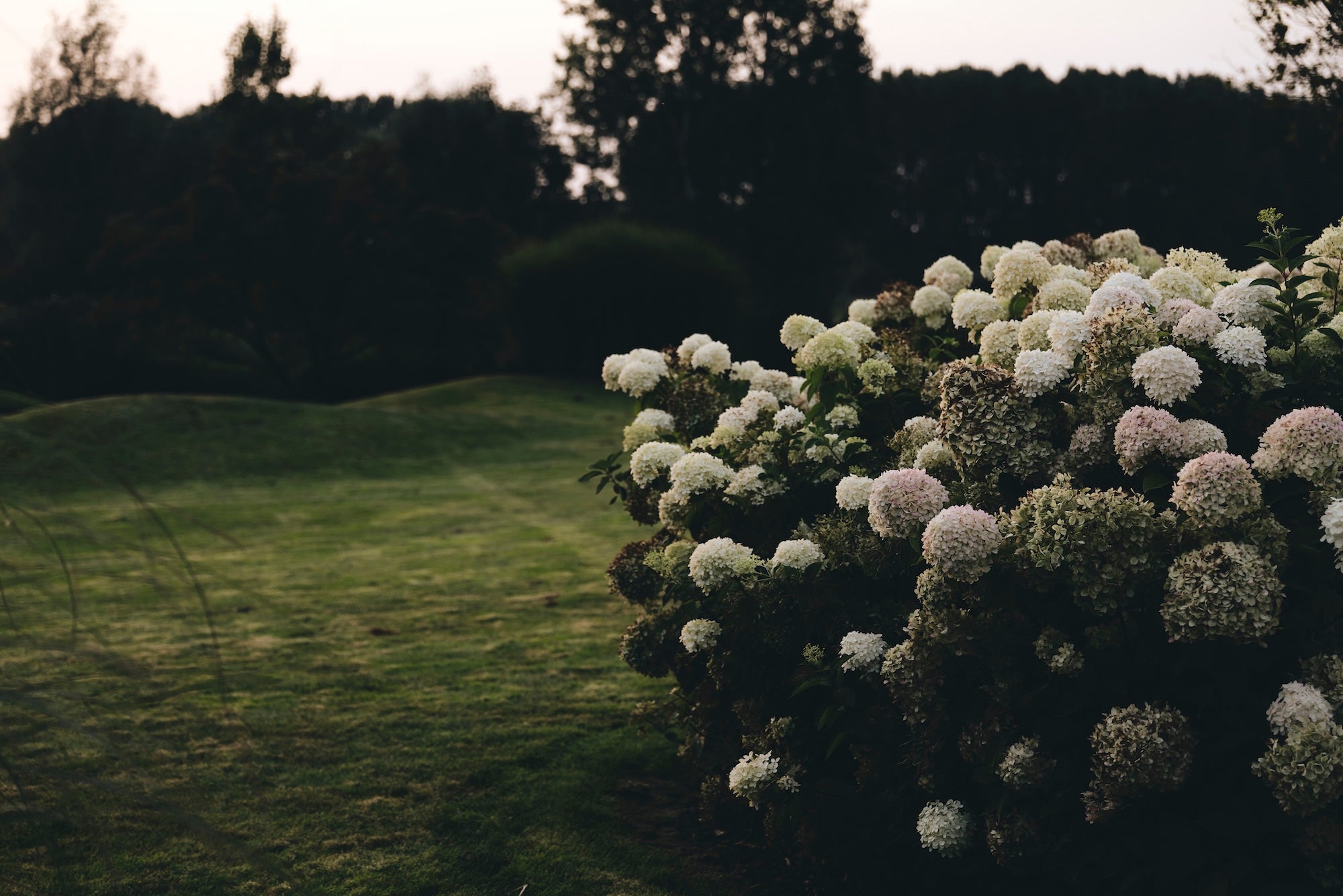 Nature, Composed