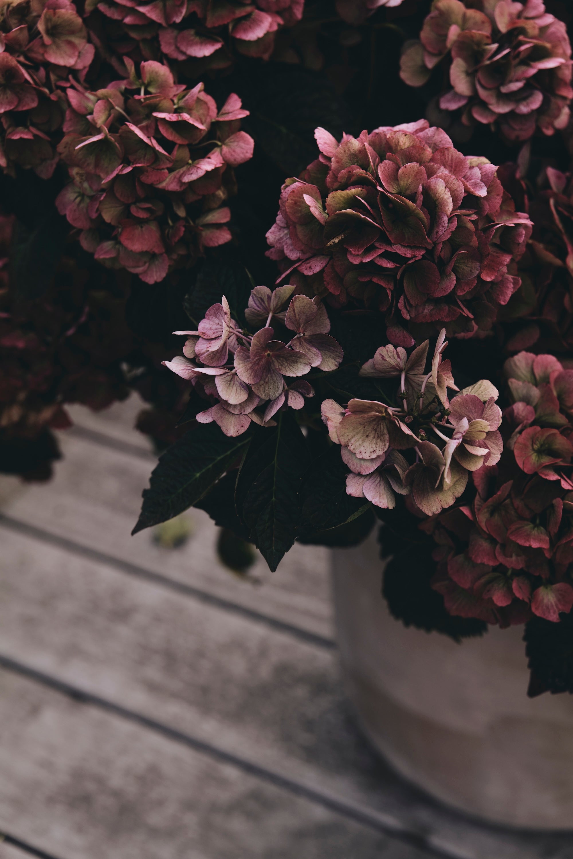 Nature, Composed